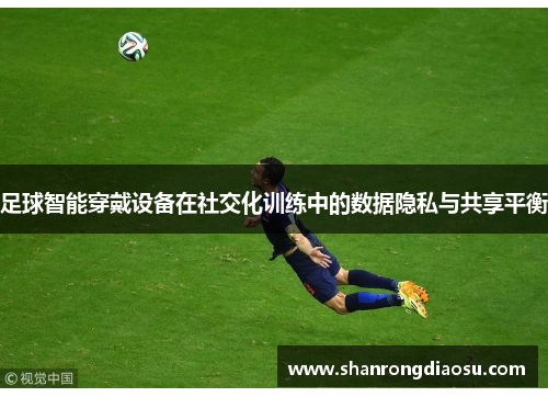 足球智能穿戴设备在社交化训练中的数据隐私与共享平衡
