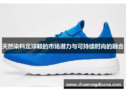天然染料足球鞋的市场潜力与可持续时尚的融合