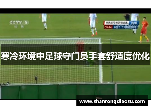 寒冷环境中足球守门员手套舒适度优化